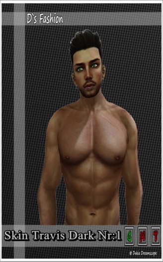 Skin Travis mit Bart1 Dunkel