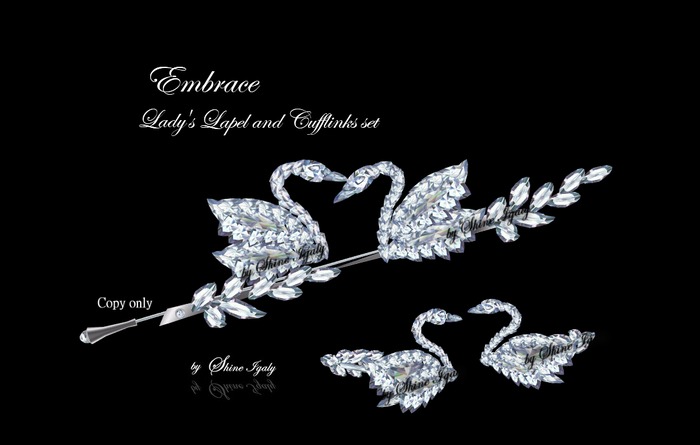 Embrace Lady's Lapel Pin & Cufflinks set