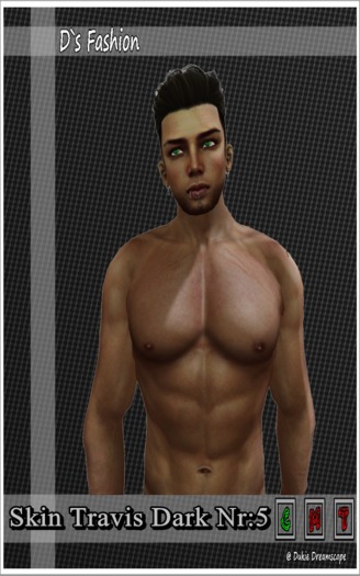 Skin Travis mit Bart5 Dunkel