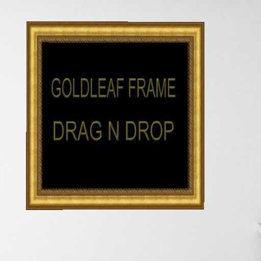 GOLD TWIRL PICTURE FRAME DRAG DROP