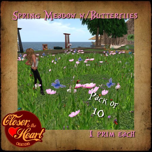 Spring Meadow w/Butterflies COPY-BOXED