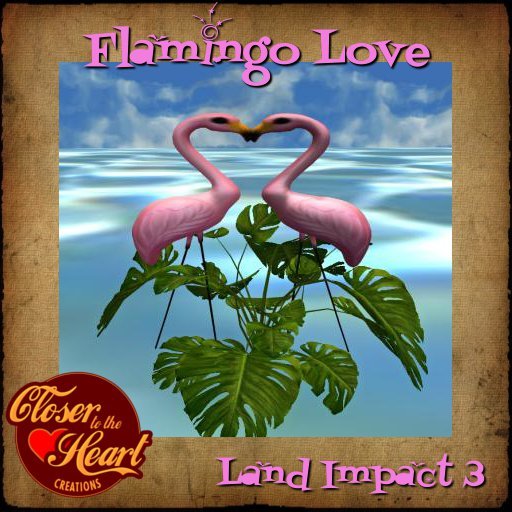Flamingo Love-BOXED