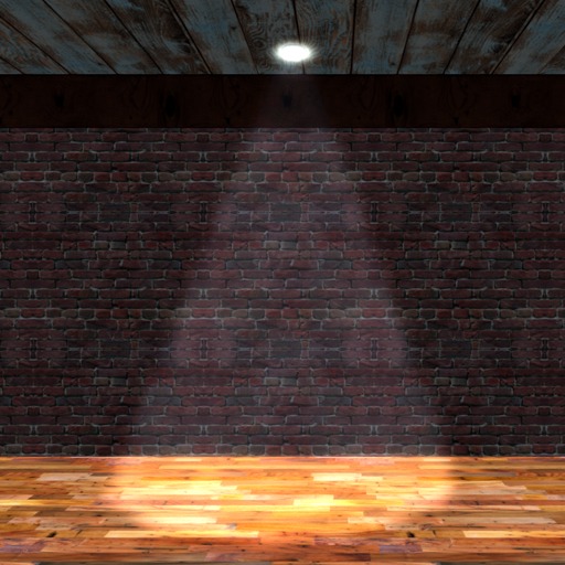 Indoor Spot Light - Can Light - Recessed Light (Box)