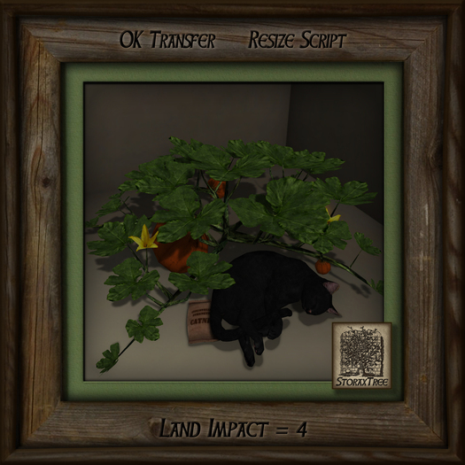 Feline Treasures - Pumpkin Patch - Black