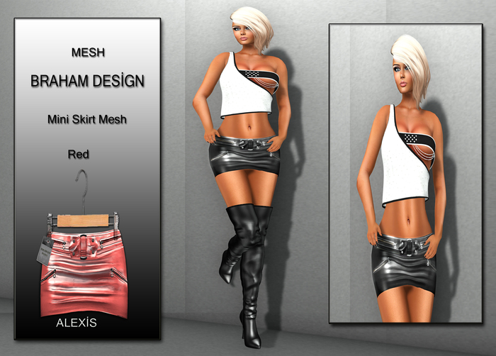 Braham Design Alexis Red Mini Skirt Mesh