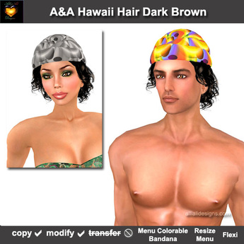 Second Life Marketplace - A&A Hawaii Hair Dark Brown ...