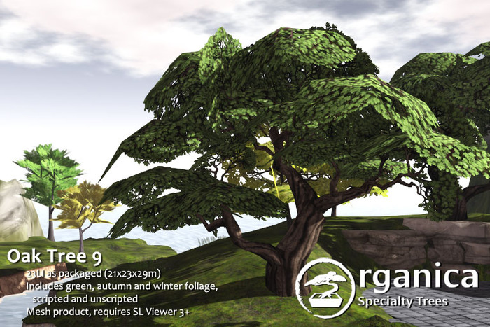 [ Organica ] Oak Tree 9 (MC)
