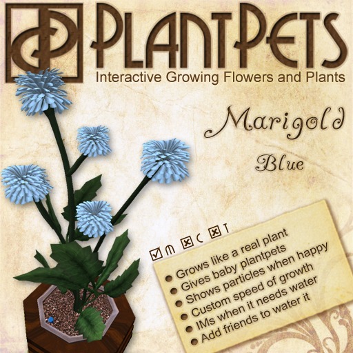 PlantPet Seed [Marigold *Blue*] COMMON