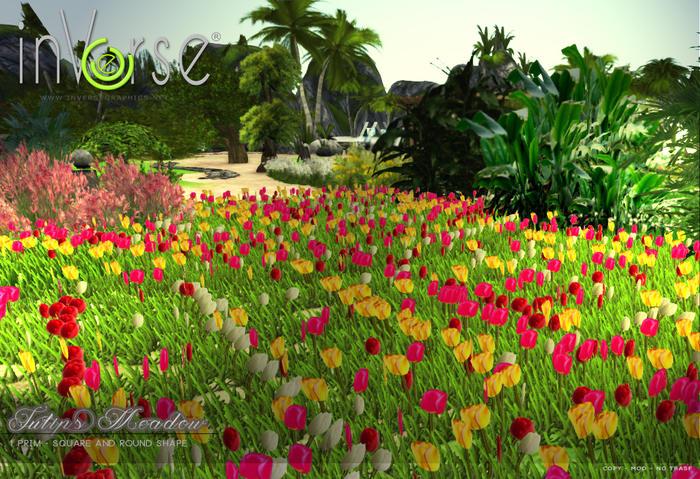 ☰ inVerse ☰ Tulips meadow 