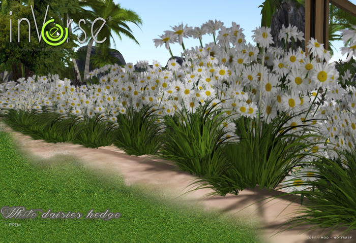 ☰ inVerse ☰ Daisies bordure