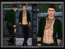 TS-Mens- Aaron-Twill#3-Forest