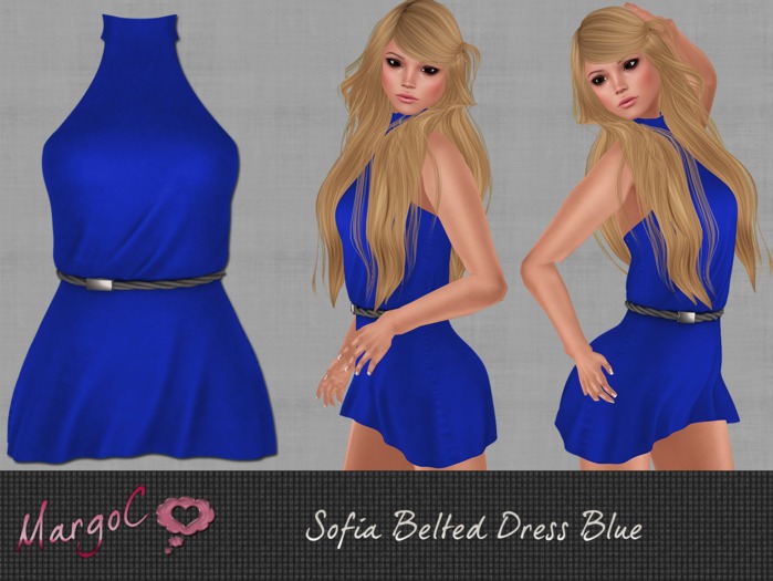 Sofia Mesh Beled Dress Blue- MargoC