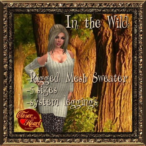 In the Wild - Leopard BOXED