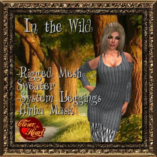 In the Wild - Zebra BOXED