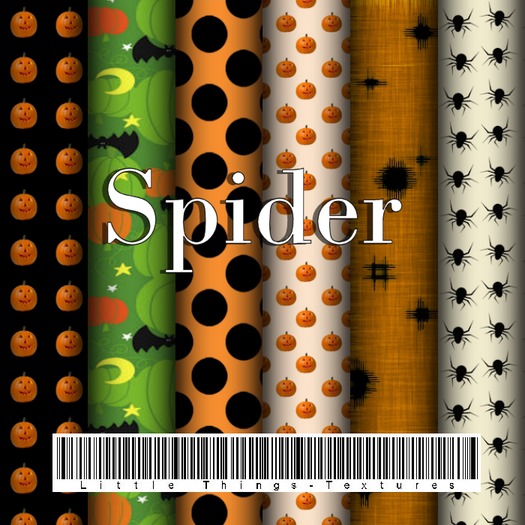 Spider