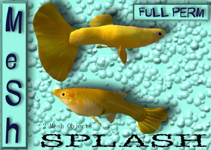 Splash BOX  Mesh Full Perm Light Blue  female Beta 0.5/1