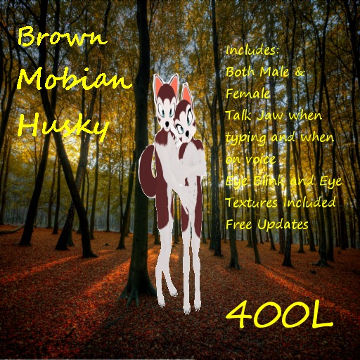 Brown Husky