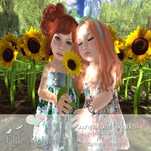 Little Moments-Sunflower Field