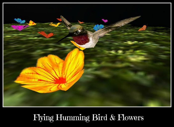 OD_MC_humming bird & Flowers