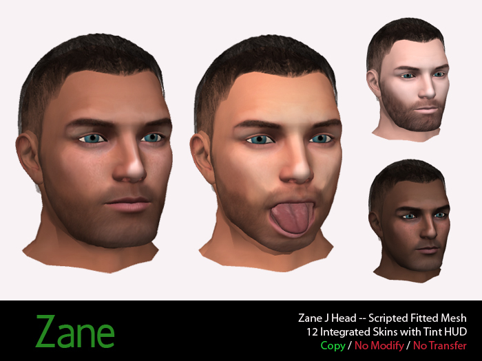 Zane J's Head -- Scripted Mesh Attachment