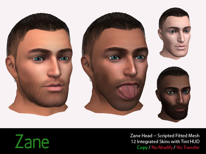 Zane's Head -- Scripted Mesh Attachment