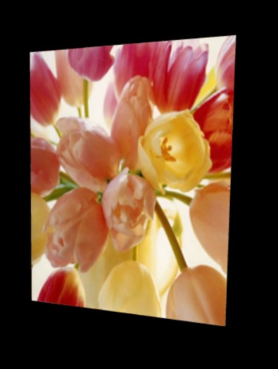 Canny Cards - Thank You Roses Card