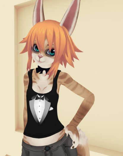 DD Tux Kemono V!V TankTop texture