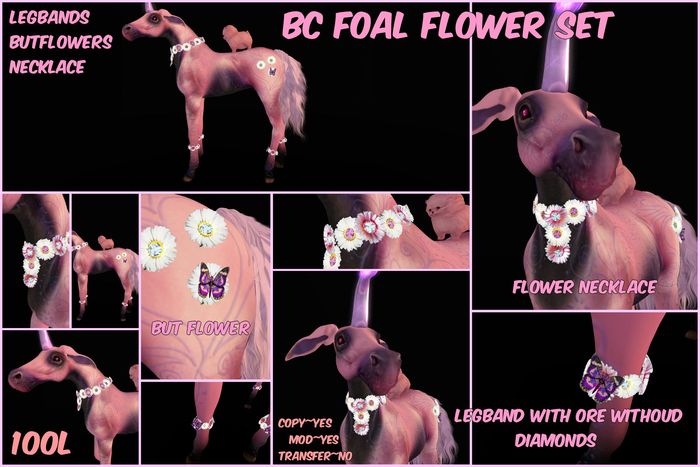 BC,FOAL,daisyFlower,SET GIFT