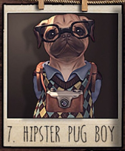 ! Birdy/Alchemy - Pug (Boy) - Companion [box]