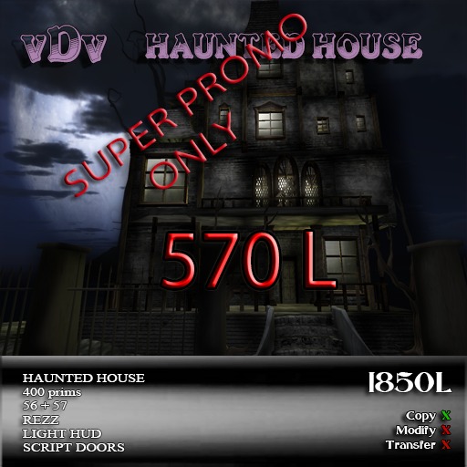 **vDv** haunted house