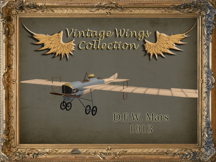 Vintage Wings - Demoiselle 1908
