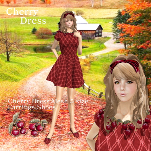 Mesh Cherry Dress Box