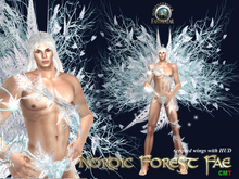 Nordic fae male