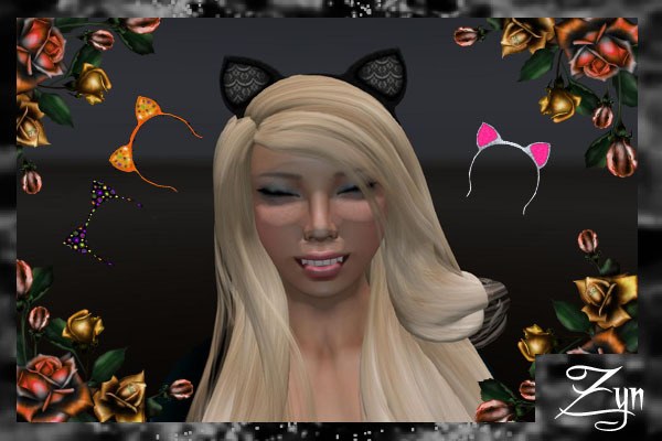 Zyn ~ Kitty Headbands Pack ~