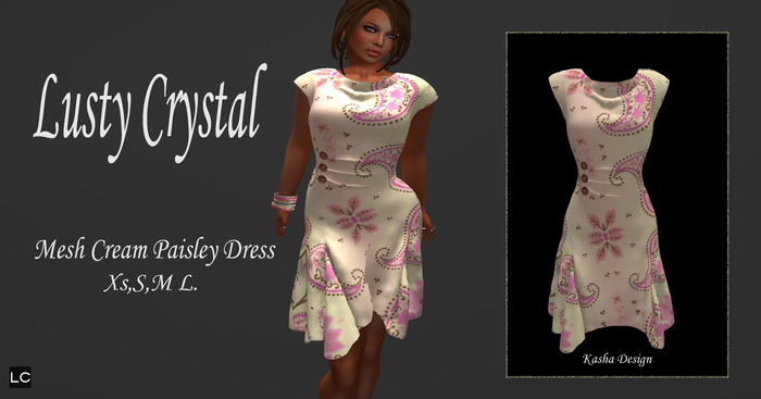 LC Mesh Dress Paisley Button BOXED