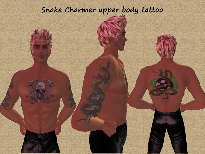 Snakes&skulls upper body tattoo