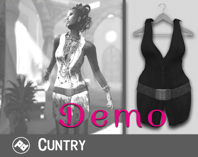 ::Poised:: Cuntry Mesh Belted Dress - DEMO