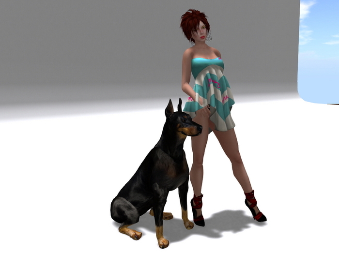 Sitting Doberman Dog {Mesh} CM