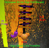 Halloween Arrow Sign Post(Boxed)