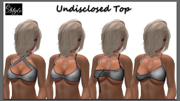 Undisclosed Top - 4 styles