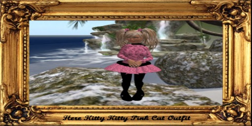 Here Kitty Kitty Pink Cat Outfit