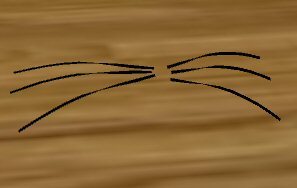 sweets Cat Whiskers