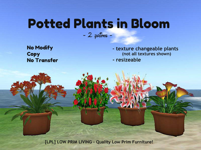 Potted Plants in Bloom - COPYABLE, texture changeable