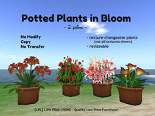 Potted Plants in Bloom - COPYABLE, texture changeable