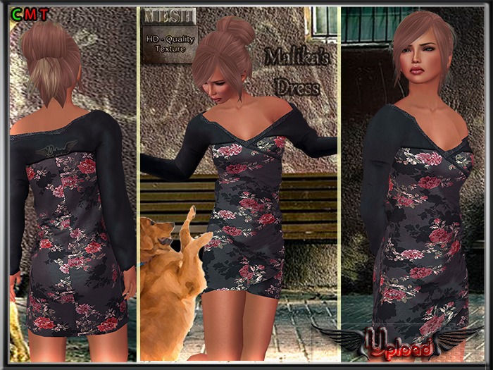 '\\Upload//' - Malika's Dress