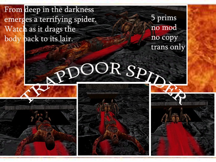 Trapdoor spider (random movement)