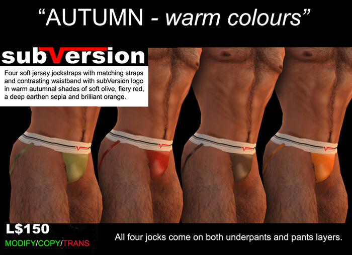 subVersion - Four Jock Pack in Autumn's warm shades