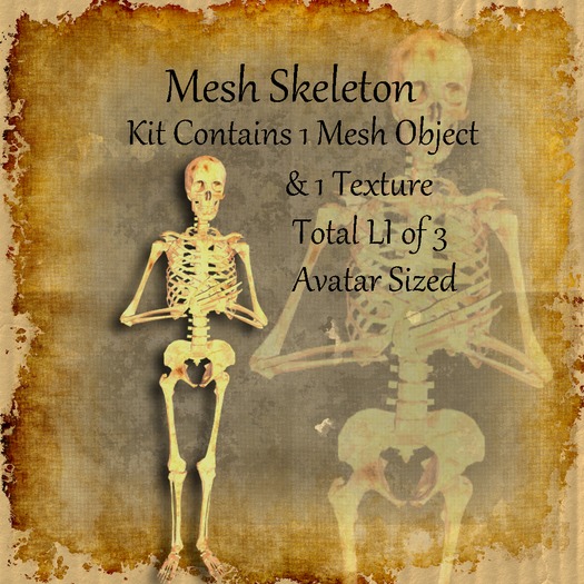 Bad Katz  Mesh Skeleton