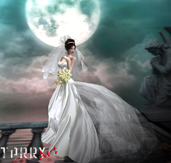 wedding dress white terry full