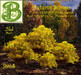 Second Life Marketplace - Autumn Cospe of 4 Sumac Shrubs B Golden, 5 LI ...